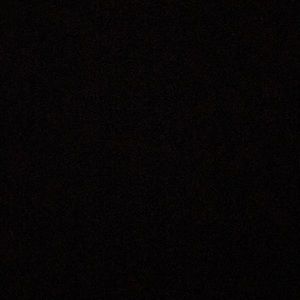 Meet your Posher, Princess